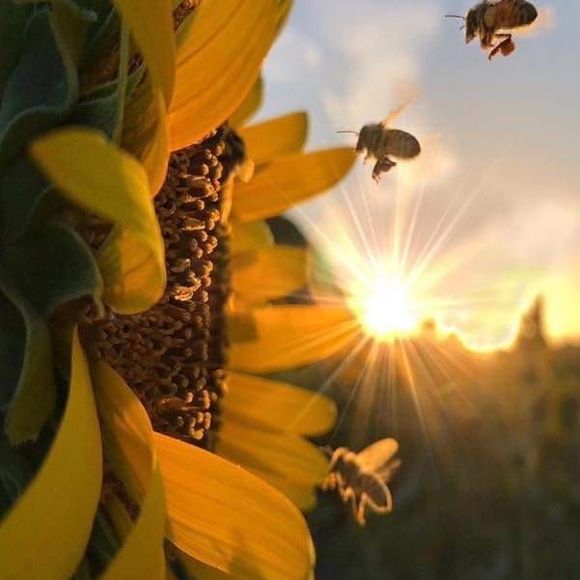 Meet your Posher, Lynne - Picture 1 of 1